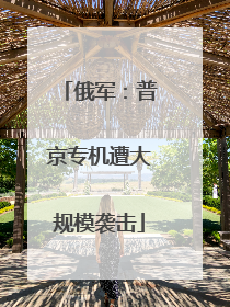 俄军：普京专机遭大规模袭击