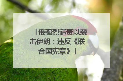 俄强烈谴责以袭击伊朗：违反《联合国宪章》