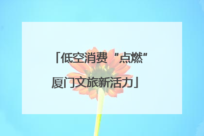 低空消费“点燃”厦门文旅新活力
