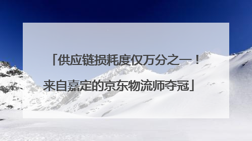 供应链损耗度仅万分之一！来自嘉定的京东物流师夺冠