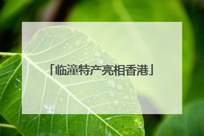 临潼特产亮相香港