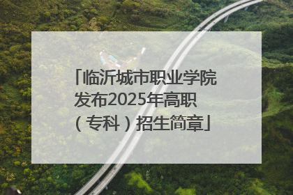 临沂城市职业学院发布2025年高职（专科）招生简章