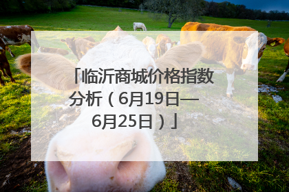 临沂商城价格指数分析（6月19日—6月25日）