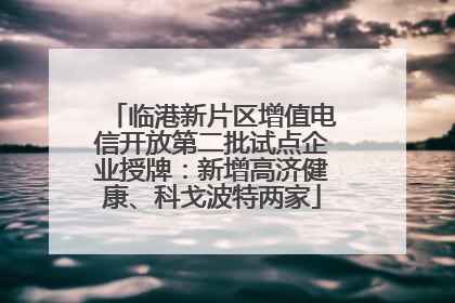 临港新片区增值电信开放第二批试点企业授牌：新增高济健康、科戈波特两家
