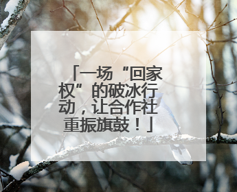 一场“回家权”的破冰行动，让合作社重振旗鼓！