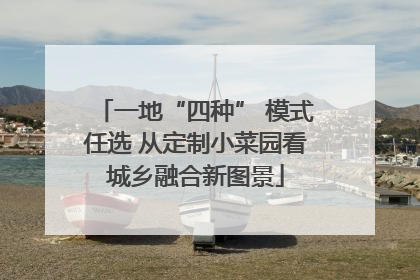 一地“四种” 模式任选 从定制小菜园看城乡融合新图景