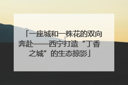 一座城和一株花的双向奔赴——西宁打造“丁香之城”的生态掠影