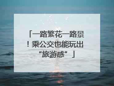 一路繁花一路景！乘公交也能玩出“旅游感”