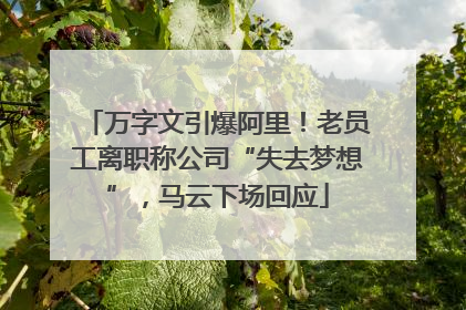 万字文引爆阿里！老员工离职称公司“失去梦想”，马云下场回应