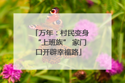 万年：村民变身“上班族” 家门口开辟幸福路