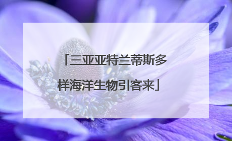 三亚亚特兰蒂斯多样海洋生物引客来