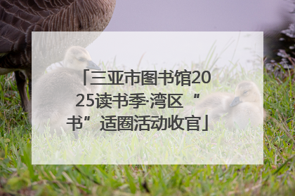 三亚市图书馆2025读书季·湾区“书”适圈活动收官