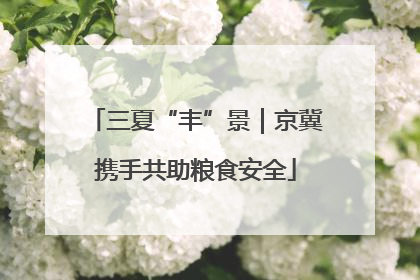 三夏“丰”景｜京冀携手共助粮食安全