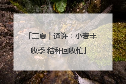 三夏｜通许：小麦丰收季 秸秆回收忙