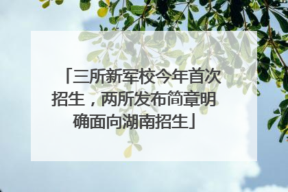 三所新军校今年首次招生，两所发布简章明确面向湖南招生