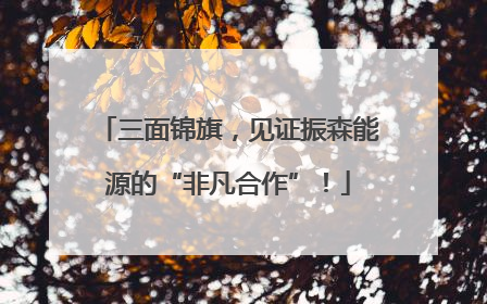 三面锦旗，见证振森能源的“非凡合作”！