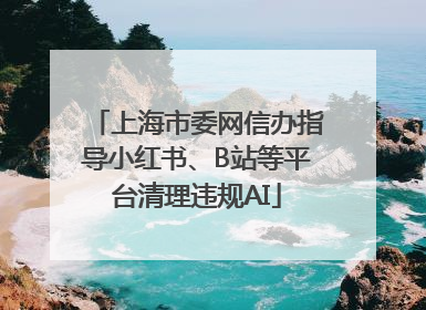 上海市委网信办指导小红书、B站等平台清理违规AI