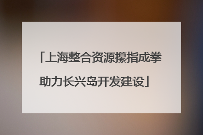 上海整合资源攥指成拳助力长兴岛开发建设