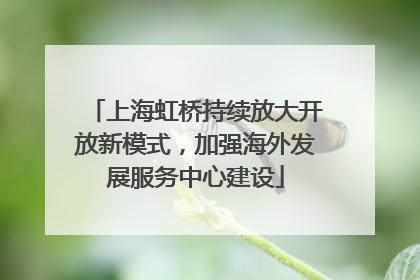 上海虹桥持续放大开放新模式，加强海外发展服务中心建设
