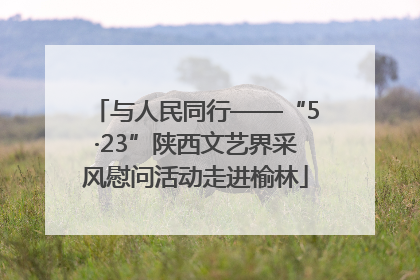 与人民同行——“5·23”陕西文艺界采风慰问活动走进榆林