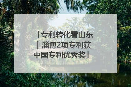 专利转化看山东｜淄博2项专利获中国专利优秀奖