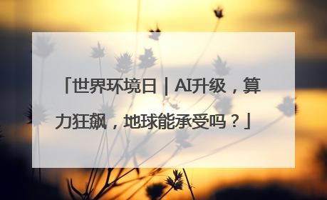 世界环境日｜AI升级，算力狂飙，地球能承受吗？