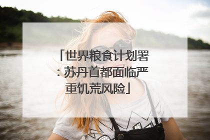 世界粮食计划署：苏丹首都面临严重饥荒风险