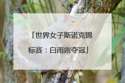 世界女子斯诺克锦标赛：白雨露夺冠