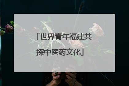 世界青年福建共探中医药文化