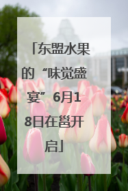 东盟水果的“味觉盛宴”6月18日在邕开启