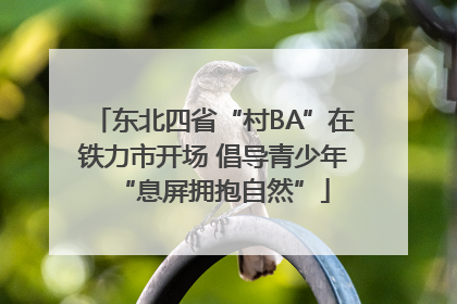 东北四省“村BA”在铁力市开场 倡导青少年“息屏拥抱自然”