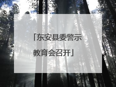 东安县委警示教育会召开