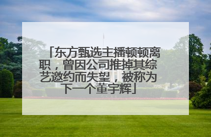 东方甄选主播顿顿离职，曾因公司推掉其综艺邀约而失望，被称为下一个董宇辉