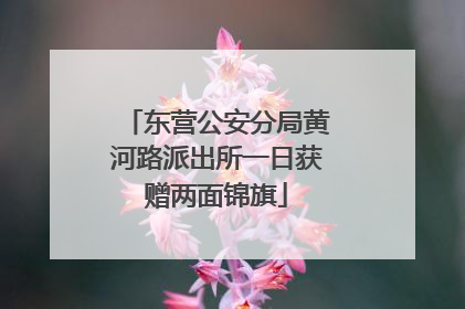 东营公安分局黄河路派出所一日获赠两面锦旗