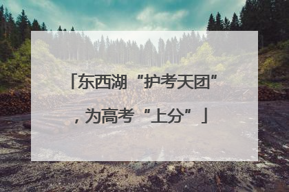 东西湖“护考天团”，为高考“上分”