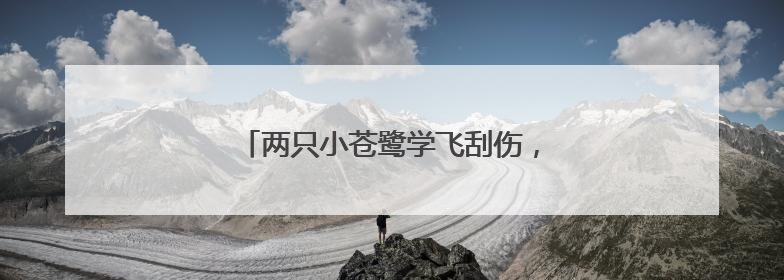 两只小苍鹭学飞刮伤，管护员紧急“送医”