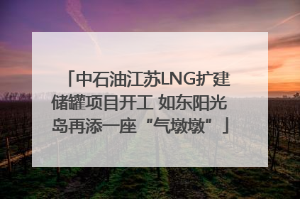 中石油江苏LNG扩建储罐项目开工 如东阳光岛再添一座“气墩墩”