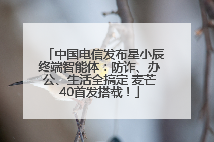 中国电信发布星小辰终端智能体：防诈、办公、生活全搞定 麦芒40首发搭载！