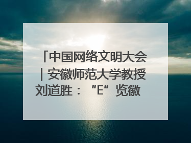 中国网络文明大会｜安徽师范大学教授刘道胜：“E”览徽风，构筑中华民族共有精神家园