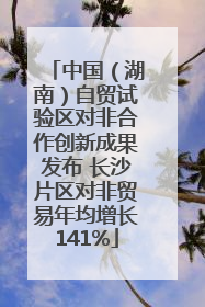 中国（湖南）自贸试验区对非合作创新成果发布 长沙片区对非贸易年均增长141%