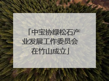 中宝协绿松石产业发展工作委员会在竹山成立