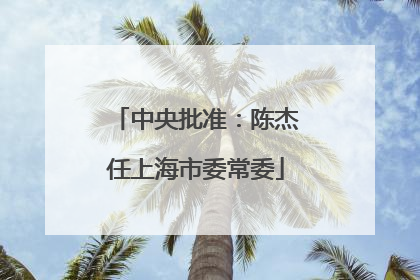 中央批准：陈杰任上海市委常委