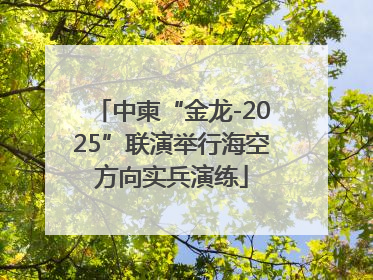 中柬“金龙-2025”联演举行海空方向实兵演练