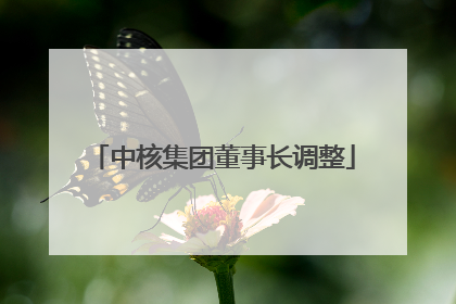 中核集团董事长调整