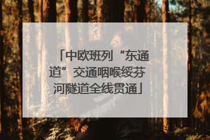 中欧班列“东通道”交通咽喉绥芬河隧道全线贯通