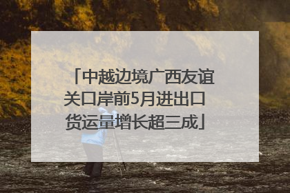 中越边境广西友谊关口岸前5月进出口货运量增长超三成