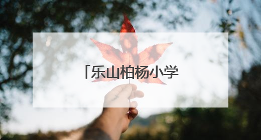 乐山柏杨小学深化教育对口帮扶工作建设