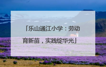 乐山通江小学：劳动育新苗，实践绽华光