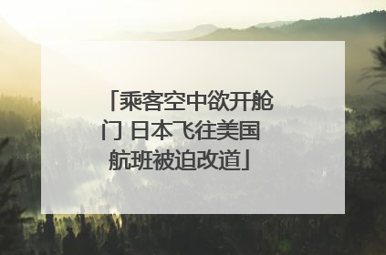 乘客空中欲开舱门 日本飞往美国航班被迫改道