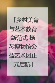 乡村美育与艺术教育新范式 扬琴博物馆公益艺术团正式启航